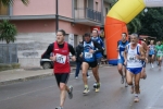 palto_551.jpg