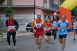 palto_862.jpg