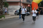 palto_1195.jpg