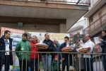 palto_1307.jpg