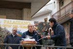 palto_1381.jpg