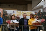 palto_1385.jpg