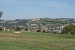 DSC01434.jpg