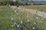 DSC01441.jpg