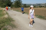 DSC01541.jpg