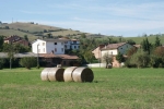 DSC01928.jpg