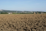 DSC01989.jpg