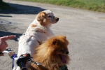 DSC02010.jpg
