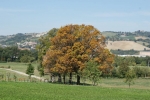 DSC02037.jpg