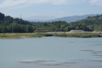 DSC02074.jpg