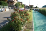 DSC01181.jpg
