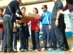 Filename=gyig_259.jpg
Filesize=70KiB
Dimensions=800x600
Date added=Nov 25, 2010 gyig_259.jpg