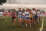 Filename=Immagine_2943.jpg
Filesize=91KiB
Dimensions=1000x667
Date added=Nov 19, 2010 Immagine_2943.jpg