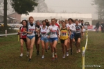 Immagine_2945.jpg