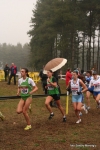 Filename=Immagine_2963.jpg
Filesize=128KiB
Dimensions=667x1000
Date added=Nov 19, 2010 Immagine_2963.jpg