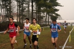 Immagine_3032.jpg