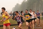 Immagine_3035.jpg