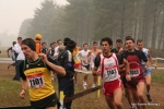 Filename=Immagine_3037.jpg
Filesize=100KiB
Dimensions=1000x667
Date added=Nov 19, 2010 Immagine_3037.jpg