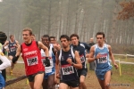 Immagine_3041.jpg
