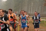 Immagine_3043.jpg