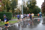 Filename=IMG_0394.JPG
Filesize=276KiB
Dimensions=1296x864
Date added=Oct 17, 2010 IMG_0394.JPG