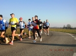 maratona_reggio_081.jpg