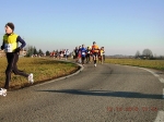 maratona_reggio_086.jpg