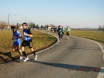 maratona_reggio_115.jpg