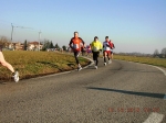 maratona_reggio_183.jpg