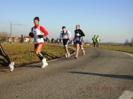 maratona_reggio_185.jpg