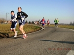 maratona_reggio_186.jpg