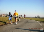 maratona_reggio_240.jpg
