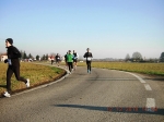 maratona_reggio_246.jpg