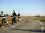 maratona_reggio_248.jpg