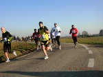 maratona_reggio_305.jpg