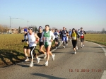 maratona_reggio_345.jpg