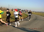 maratona_reggio_350.jpg
