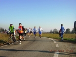 maratona_reggio_373.jpg