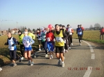 maratona_reggio_379.jpg