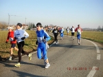 maratona_reggio_384.jpg