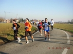 maratona_reggio_388.jpg