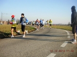 maratona_reggio_393.jpg