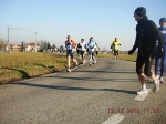 maratona_reggio_394.jpg