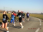 maratona_reggio_396.jpg
