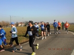 maratona_reggio_417.jpg