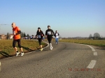 maratona_reggio_440.jpg