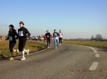 maratona_reggio_441.jpg