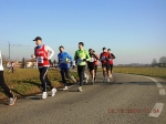 maratona_reggio_453.jpg