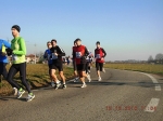 maratona_reggio_454.jpg