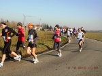 maratona_reggio_460.jpg